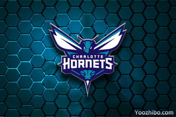 2019-2020赛季<a href=/lanqiude/hornets/ target=_blank class=infotextkey>黄蜂</a>队队徽